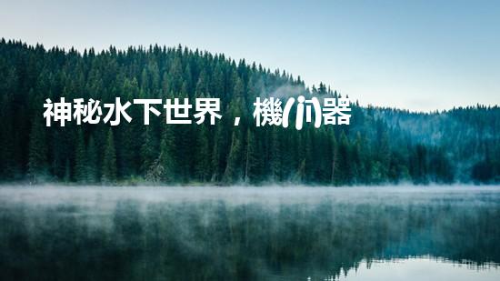 神秘水下世界，機(jī)器人揭開深海寶藏！